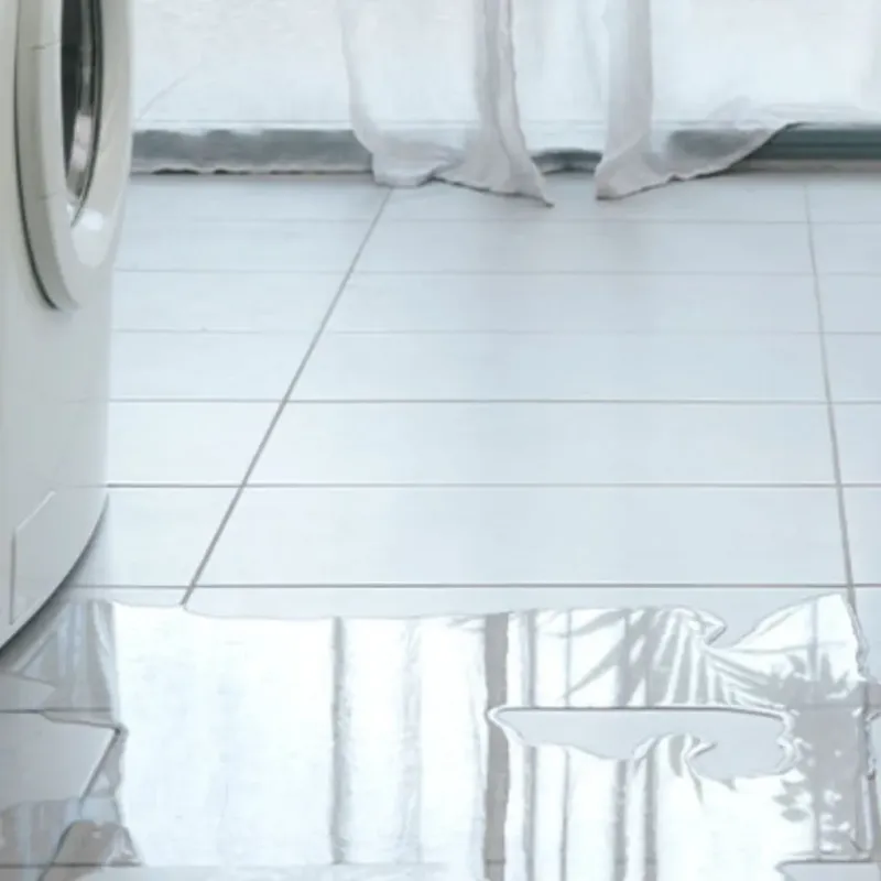 Appliance Leak Cleanup in Forest Hill, TX