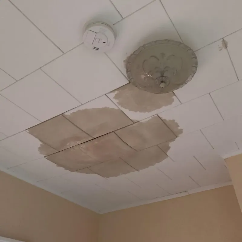 Ceiling Water Damage Repair in Forest Hill, TX