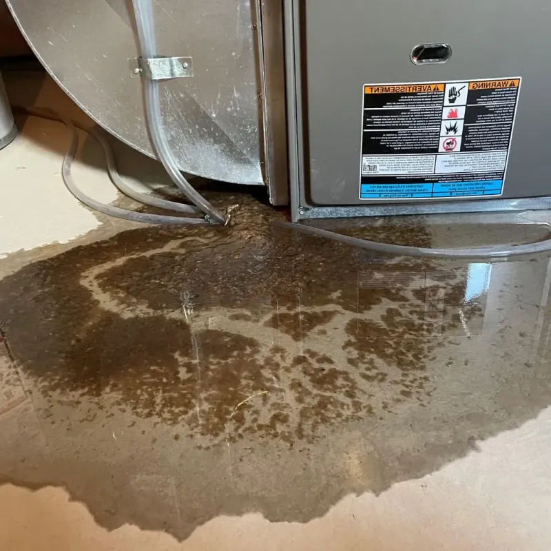 Pipe Burst and Leak Restoration in Forest Hill, TX